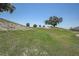 An ample and well maintained backyard with a small slope at 10517 Crestview Heights Ave, Thonotosassa, FL 33592
