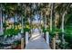 Wooden dock leading to a tranquil lake, surrounded by lush greenery, perfect for nature lovers at 1065 Tartan Dr # C, Palm Harbor, FL 34684