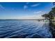 Expansive lake view with calm waters stretching to the horizon, perfect for scenic enjoyment and relaxation at 1065 Tartan Dr # C, Palm Harbor, FL 34684
