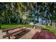Outdoor picnic area with BBQ grills and tables, surrounded by lush trees, ideal for gatherings at 1065 Tartan Dr # C, Palm Harbor, FL 34684