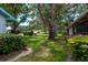 Landscaped backyard with mature shade tree and neighboring homes and greenery at 1065 Tartan Dr # C, Palm Harbor, FL 34684