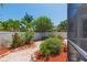 Well maintained backyard with mature trees and lush landscaping visible from the screened lanai at 1126 Haley Ln, Dunedin, FL 34698