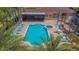 Resort-style community pool with jacuzzi, lounge chairs and tables surrounded by lush landscaping and mature palm trees at 1126 Haley Ln, Dunedin, FL 34698