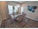 Dining room with glass table, chandelier, rug, and natural light at 13103 Monach Isles Dr, Riverview, FL 33579