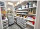 Organized pantry with shelving and drawer systems for efficient storage at 13103 Monach Isles Dr, Riverview, FL 33579