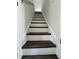 Carpeted staircase with white risers and dark brown treads ascending to the upper level at 1675 13Th S Ave, St Petersburg, FL 33712