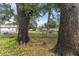 The back yard has mature trees and a partial fence at 2313 Palm Ave, Seffner, FL 33584