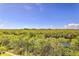 Expansive nature view over treetops with a blue sky in the background, creating a tranquil and scenic setting at 3282 Mangrove Point Dr, Ruskin, FL 33570