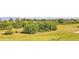 Scenic view showcasing a lush green field with surrounding trees, promoting an open and natural environment at 3282 Mangrove Point Dr, Ruskin, FL 33570