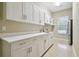 Spacious pantry with white cabinets, counter space, and natural light at 3351 Bristol Pl, Tarpon Springs, FL 34688