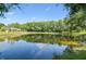 Scenic view of a serene pond reflecting the sky and surrounding trees, creating a peaceful backdrop at 3351 Bristol Pl, Tarpon Springs, FL 34688