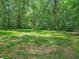 Lush green backyard, enclosed by a fence, and shaded by mature trees, providing a private outdoor space at 473 Forest Ave, Brooksville, FL 34601