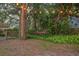 Secluded backyard oasis with a hammock strung between trees and ambient string lights for relaxing evenings at 4805 E Regnas Ave, Tampa, FL 33617
