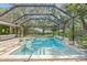 Gorgeous pool with a screened enclosure, tropical plants, and a charming rubber duck floating in the crystal clear water at 4805 E Regnas Ave, Tampa, FL 33617