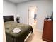 Bedroom leading into an en suite bathroom at 4812 Bonita Vista Dr, Tampa, FL 33634