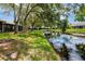 Scenic view of a tranquil pond lined with lush greenery and mature trees at 5524 Salem Square N Dr, Palm Harbor, FL 34685