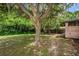 Backyard view showcasing a sprawling lawn shaded by a large tree and a portion of the home's exterior at 6406 Congress St, New Port Richey, FL 34653