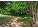 View of a level lot with some trees and other green vegetation that would be perfect for building a home at 6406 Congress St, New Port Richey, FL 34653