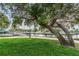 Lush waterfront scene with mature trees, green lawn, benches, and boat docks at 6406 Congress St, New Port Richey, FL 34653