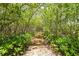 Scenic community nature path with lush green foliage at 7050 Sunset S Dr # 1401, South Pasadena, FL 33707