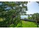 A large backyard with string lights, a greenhouse, grass, a lake in the background, and large trees at 8927 Key West Island Way, Riverview, FL 33578