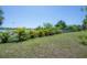 Lush backyard with a serene waterfront view, providing a tranquil outdoor space for relaxation at 8927 Key West Island Way, Riverview, FL 33578