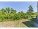 Grassy backyard with a lot of overgrown green shrubbery and trees along the perimeter at 9524 Newdale Way # 101, Riverview, FL 33578