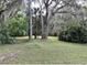 Spacious backyard with lush greenery and mature trees at 11002 Ridgedale Rd, Temple Terrace, FL 33617
