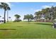 A spacious green lawn with mature trees, offering a serene outdoor setting at 1304 Withlacoochee St, Safety Harbor, FL 34695