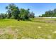 Expansive backyard with lush green grass and mature trees in the distance at 14137 Wake Robin Dr, Brooksville, FL 34604