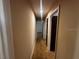 Long hallway featuring carpet floor and lighting at 213 Mahogany Dr, Seffner, FL 33584