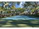 Community tennis court surrounded by mature trees with a blue surface and chain-link fence at 2665 Sequoia Ter # 306, Palm Harbor, FL 34683