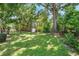 Expansive backyard with lush green lawn and mature trees providing ample shade at 4019 W Bay To Bay Blvd, Tampa, FL 33629
