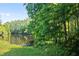 Serene pond view framed by lush greenery, creating a peaceful and natural backdrop at 4512 Cheval Blvd, Lutz, FL 33558
