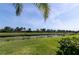 Peaceful backyard scene featuring lush greenery and a serene pond with water lilies at 4888 Sevilla Shores Dr, Wimauma, FL 33598