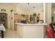 Bright kitchen featuring ample counter space, stainless appliances, and decorative plants at 5465 Chestnut Ridge Rd, Dade City, FL 33523
