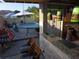 Outdoor patio with a bar area, decorative lighting, table and pool in the background at 611 N Bradford Ave, Tampa, FL 33609