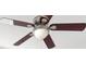 Close-up showcasing a stylish ceiling fan at 7110 Bonito St, Tampa, FL 33617