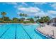Spacious community pool with clear blue water, marked lanes, and surrounding palm trees and landscaping at 11808 Holly Crest Ln, Riverview, FL 33569