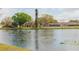 Picturesque pond with ducks taking flight amidst houses and vibrant trees in a serene neighborhood at 12910 Longcrest Dr, Riverview, FL 33579