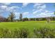 Scenic view of the neighborhood green with blue skies and landscaped bushes and trees at 13421 Lake Monroe Pl, Riverview, FL 33579