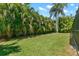 Large grassy backyard lined with mature palm trees and lush tropical foliage for ultimate privacy at 13598 Park Blvd, Seminole, FL 33776