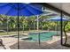 Screened pool area with a jacuzzi, lush landscaping, and sunny skies at 13598 Park Blvd, Seminole, FL 33776
