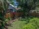 Landscaped backyard with palm trees, wooden fence, shade trees, and lush green grass at 18003 Arbor Crest Dr, Tampa, FL 33647
