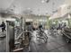 Spacious gym equipped with various exercise machines, free weights, and ample natural light at 18003 Arbor Crest Dr, Tampa, FL 33647
