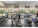 Well-equipped gym featuring treadmills, elliptical trainers, and mirrored walls, with large windows at 18003 Arbor Crest Dr, Tampa, FL 33647