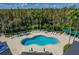 Overhead shot of the lagoon style pool with plenty of deck space, lounge chairs, and surrounded by mature landscaping at 18003 Arbor Crest Dr, Tampa, FL 33647