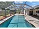 Beautiful screened-in pool with patio and landscaped backyard at 1801 Sagebrush Rd, Plant City, FL 33566