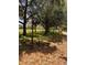 Outdoor fitness equipment located in a park-like setting with mature trees and green grass at 1809 Elmwood Dr, Oldsmar, FL 34677