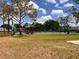 The image shows a tennis court with a lush green grass lawn in the foreground at 1809 Elmwood Dr, Oldsmar, FL 34677